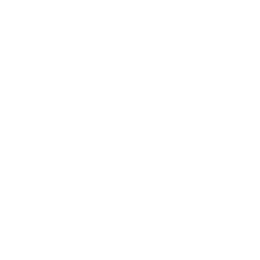 Instagram Icon White